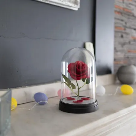 Centre -cosy 2 Pieces-clim-af Apartamento *